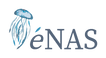 enas wellness