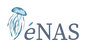 enas wellness